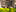 20220727 HELDH Type B B1 Cam 01